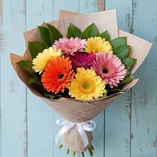 Букет цветов из:  Герберы в Ожерелье