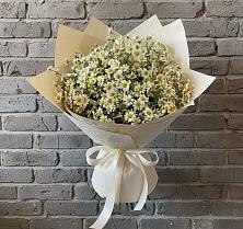 Букет цветов из:  Ромашки в Ожерелье