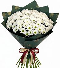 Букет цветов из:  Хризантемы в Ожерелье