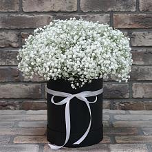 Цветочная композиция из Гипсофила в шляпной коробке #REPLACE_PRED# Ожерелье