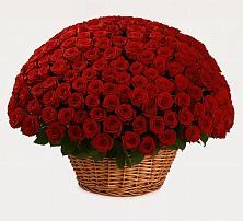 Премиум букет из: Розы в Ожерелье