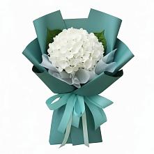Букет цветов из:  Гортензия в Ожерелье